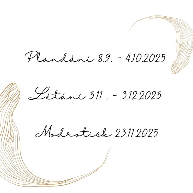 Plandání jsou lekce kresby bez předsudků určené ženám, kterým kdysi někdo řekl, že neumí kreslit a chtějí to změnit....